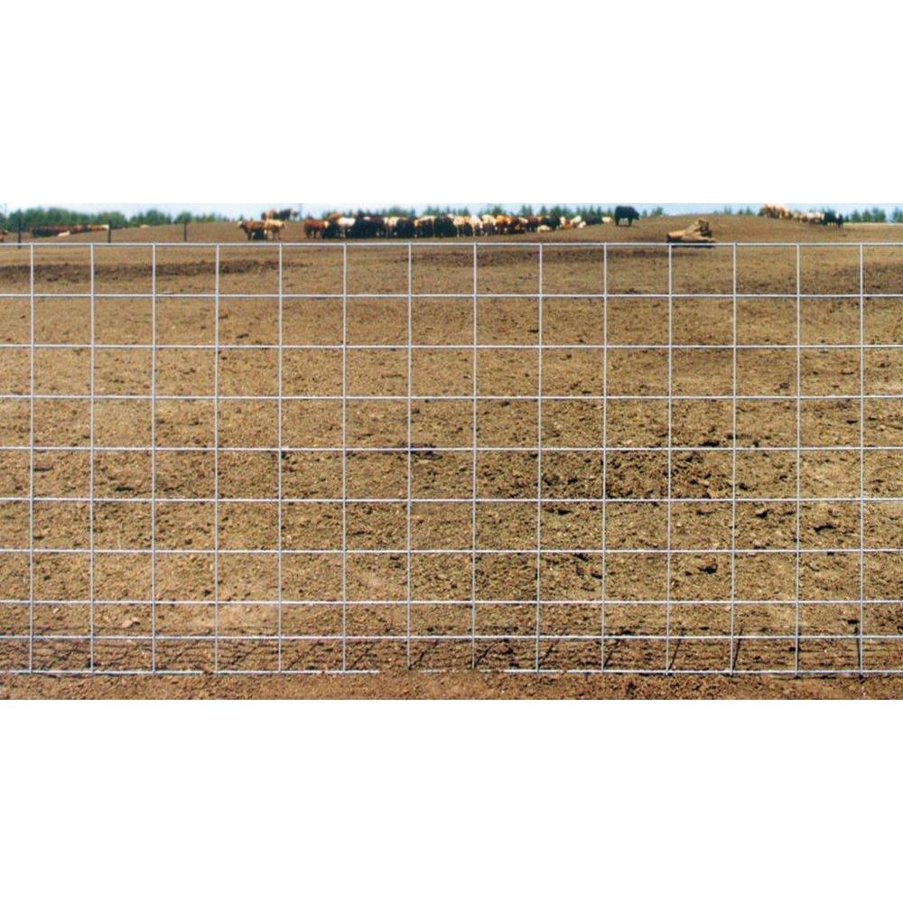 16 Ft 4 Gauge Cattle Panels 33150739 The Home Depot