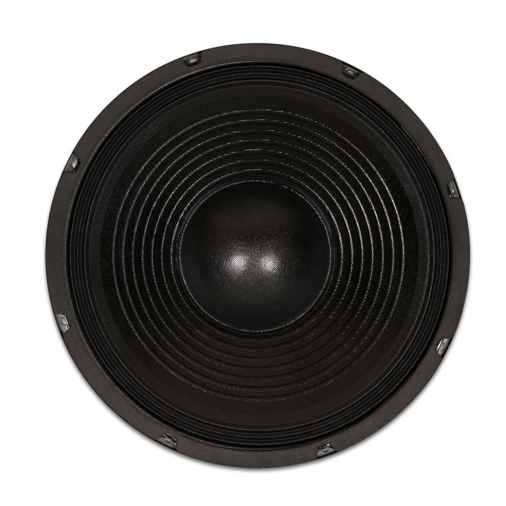 12 replacement speaker