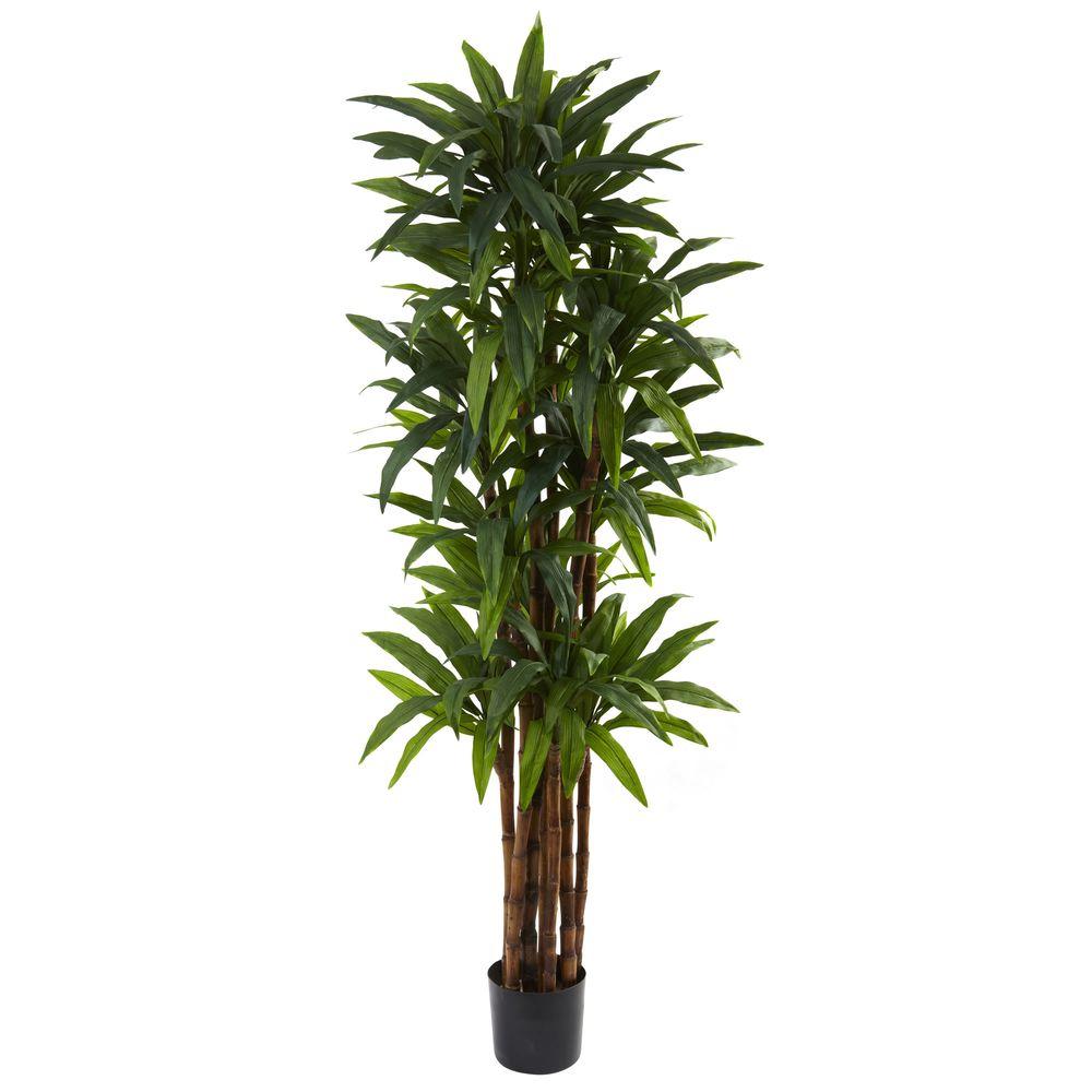 Nearly Natural 6.5 ft. Dracaena Tree-5403 - The Home Depot