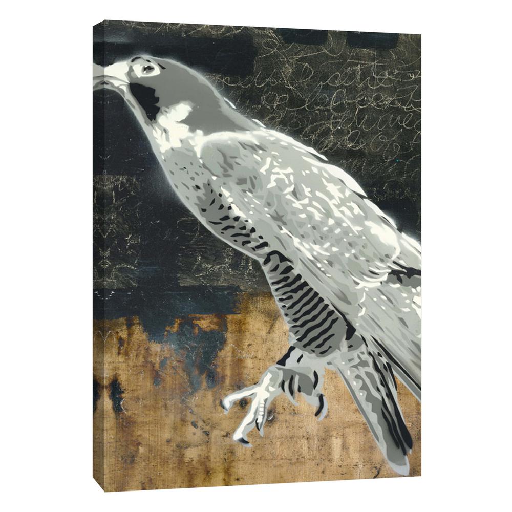 12in X 10in Peregrine Falcon Printed Canvas Wall Art