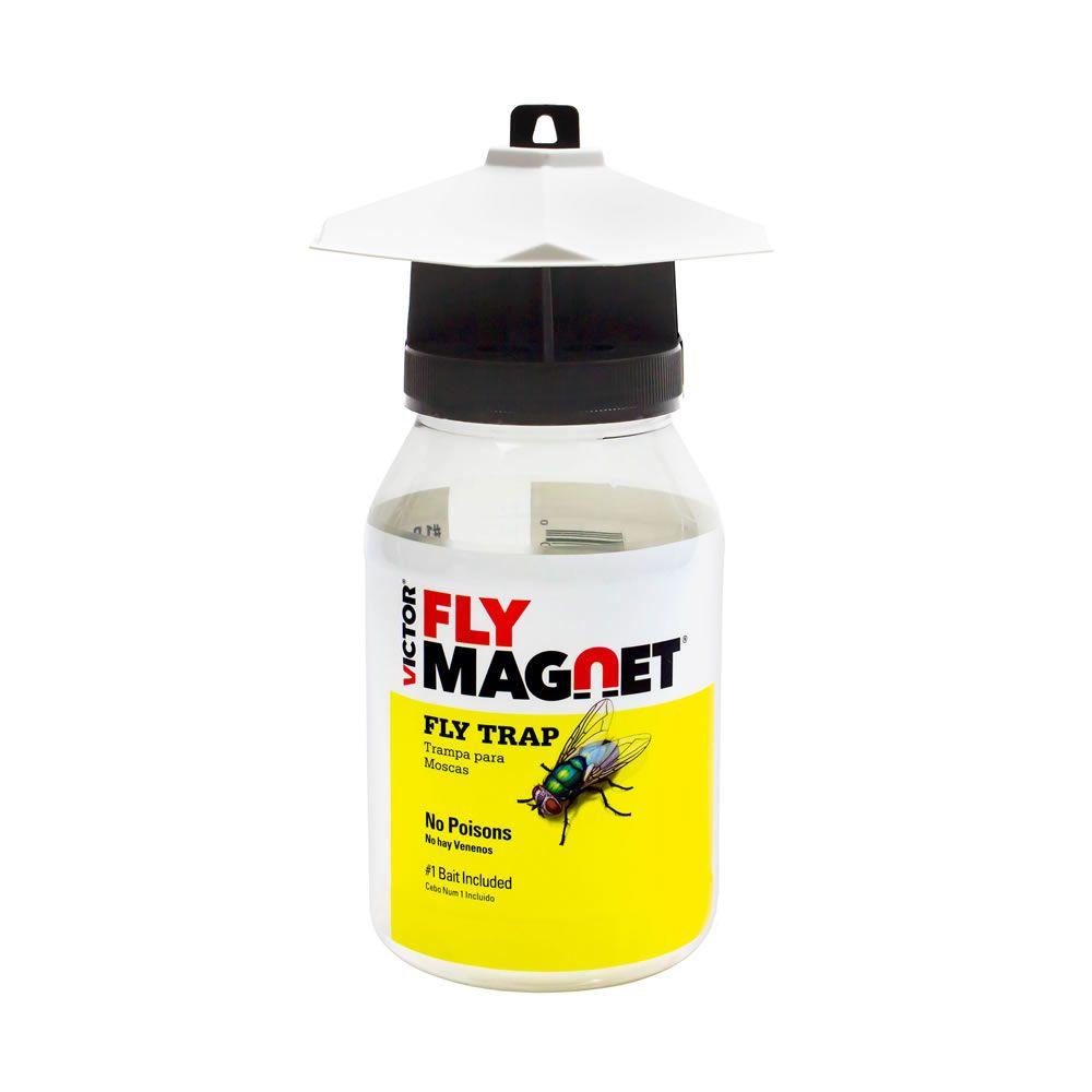 best house fly trap