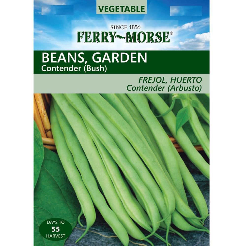 FerryMorse Garden Bean Contender Bush Seed1427 The Home Depot