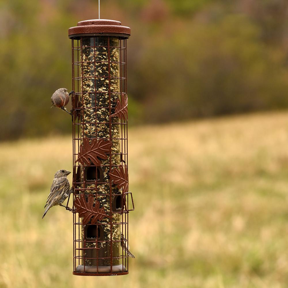 Perky Pet Squirrel Be Gone Cylinder Squirrel Proof Bird Feeder