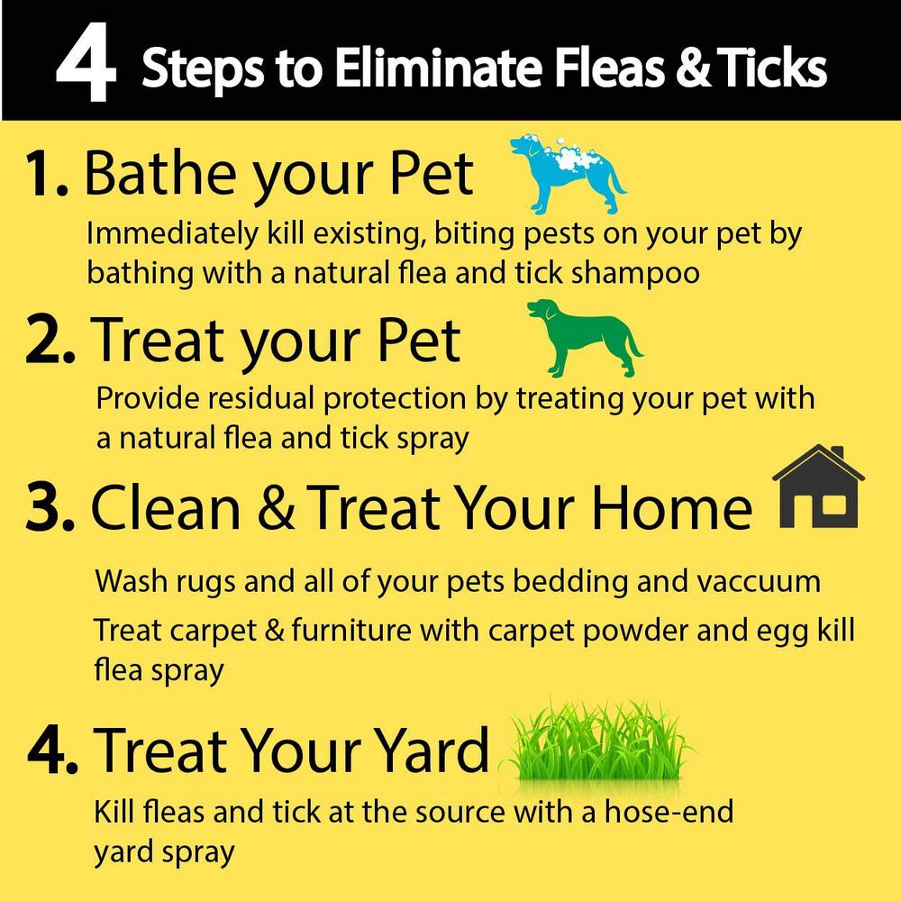 natural flea protection