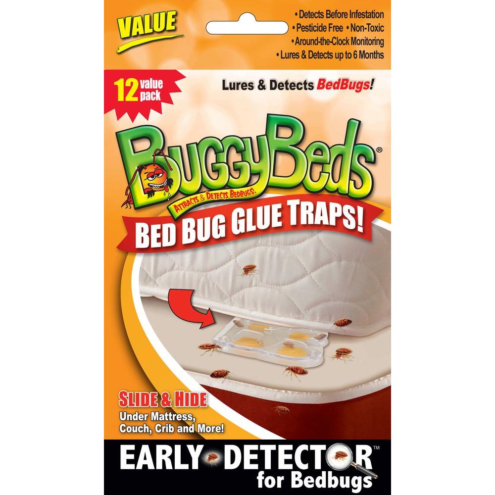 BuggyBeds Value Bedbug Glue Trap Detects and Lures Bedbugs (12-Pack) by BuggyBeds
