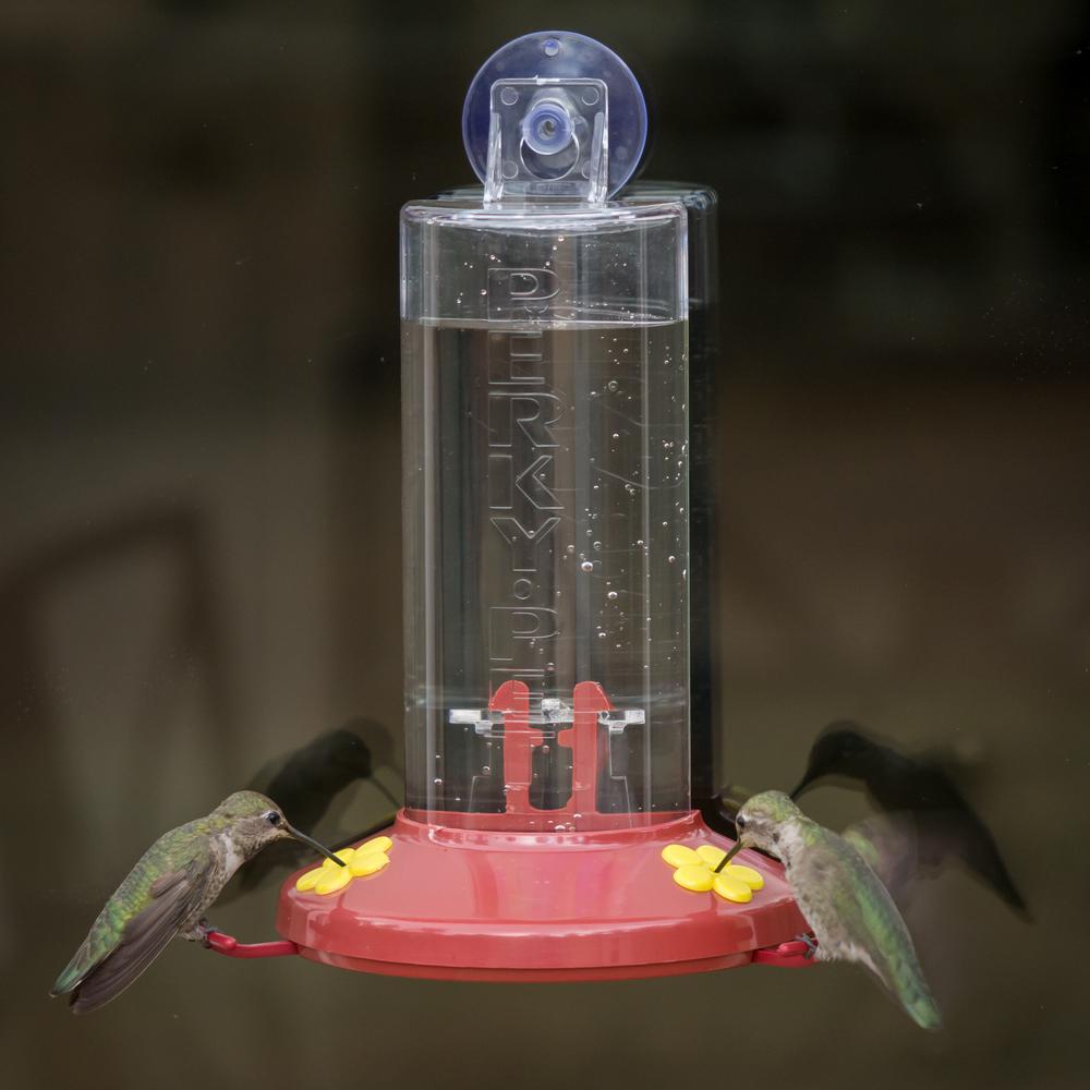 Perky Pet Window Mount Plastic Hummingbird Feeder 8 Oz Capacity