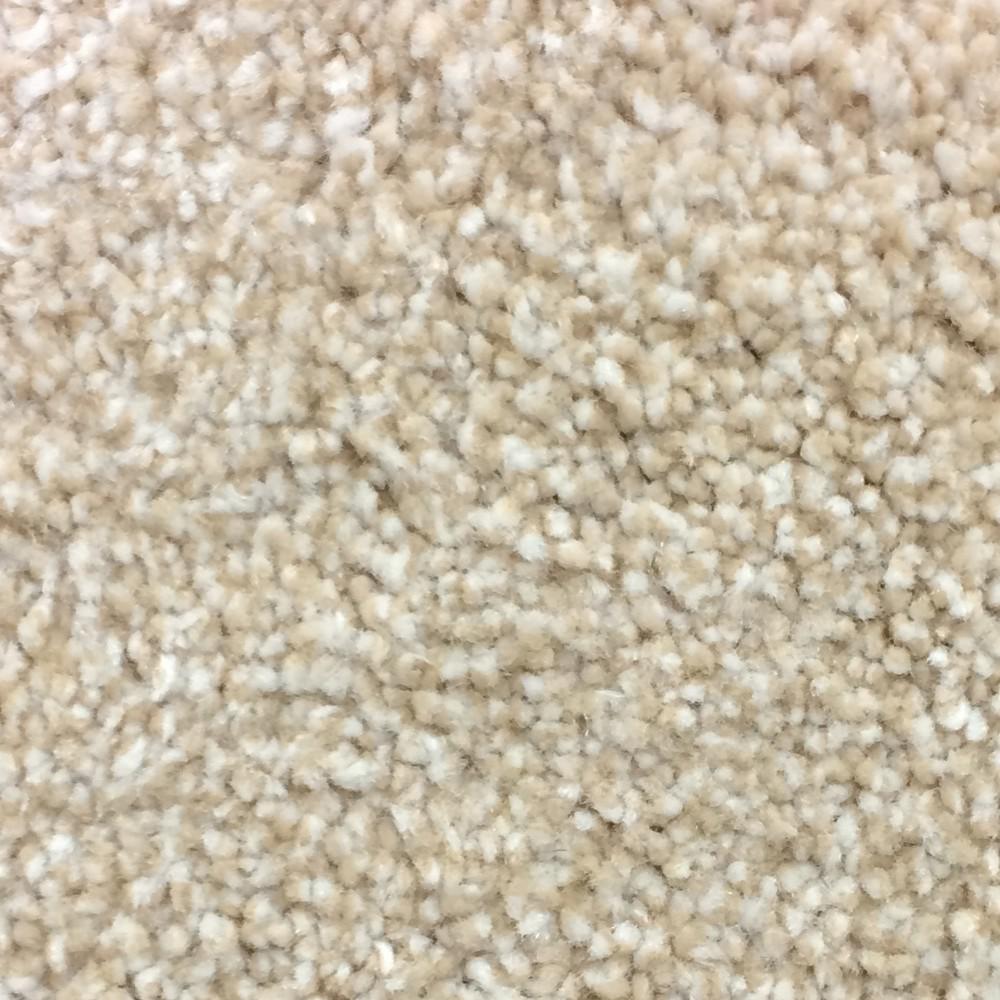 LifeProof Carpet Sample Autumn Charm Color Harvest Texture 8 in. x