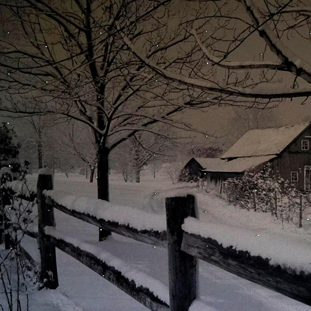 Northlight 11.75 in. x 15.75 in. Fiber Optic Lighted Rustic Farmhouse