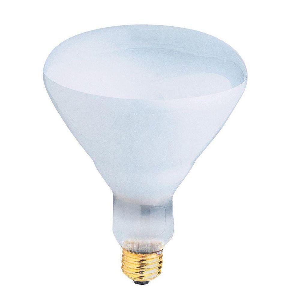 Feit Electric 500Watt Incandescent R40 Pool and Spa Flood Light Bulb