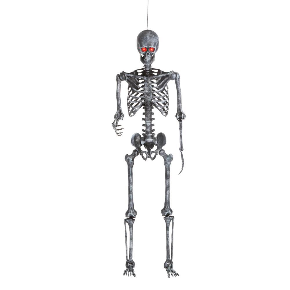 5 ft Hanging Plastic Ash Posable Skeleton with LED Eyes