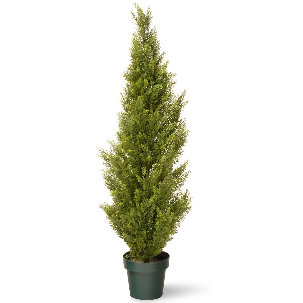 https://images.homedepot-static.com/productImages/fe663e51-8c49-450b-a676-7d7818522140/svn/national-tree-company-artificial-plants-lmc4-700-48-6-64_1000.jpg