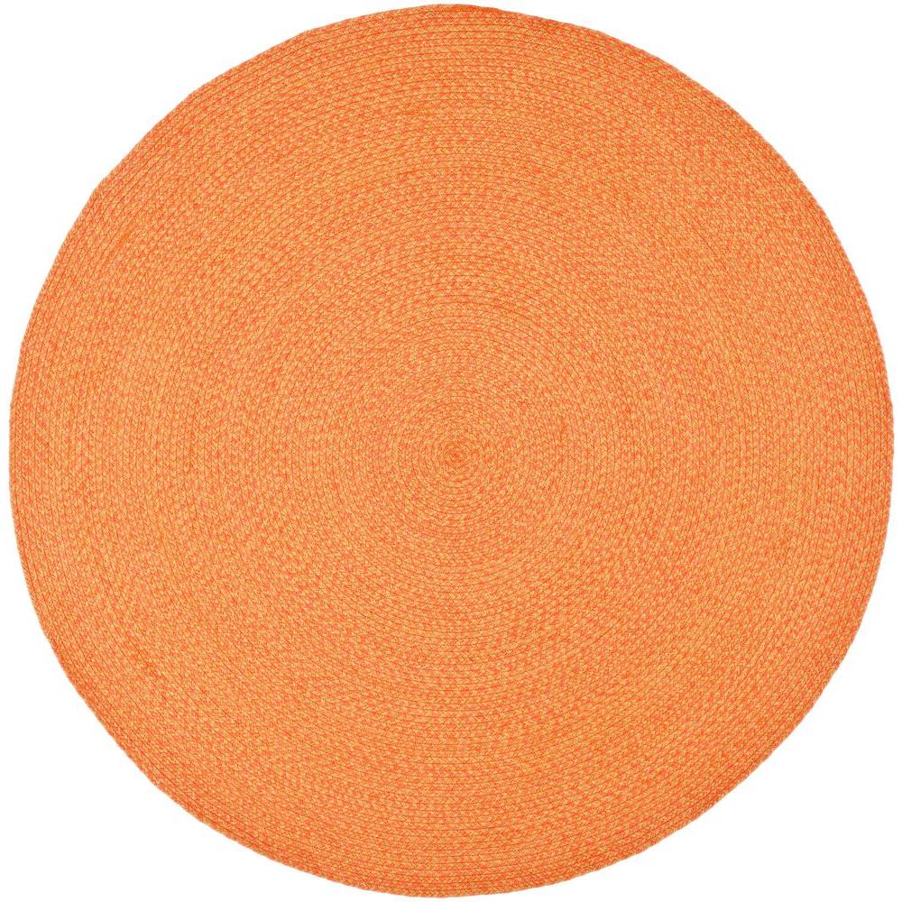 Safavieh Braided Multi 6 ft. x 6 ft. Round Area RugBRD168A6R The