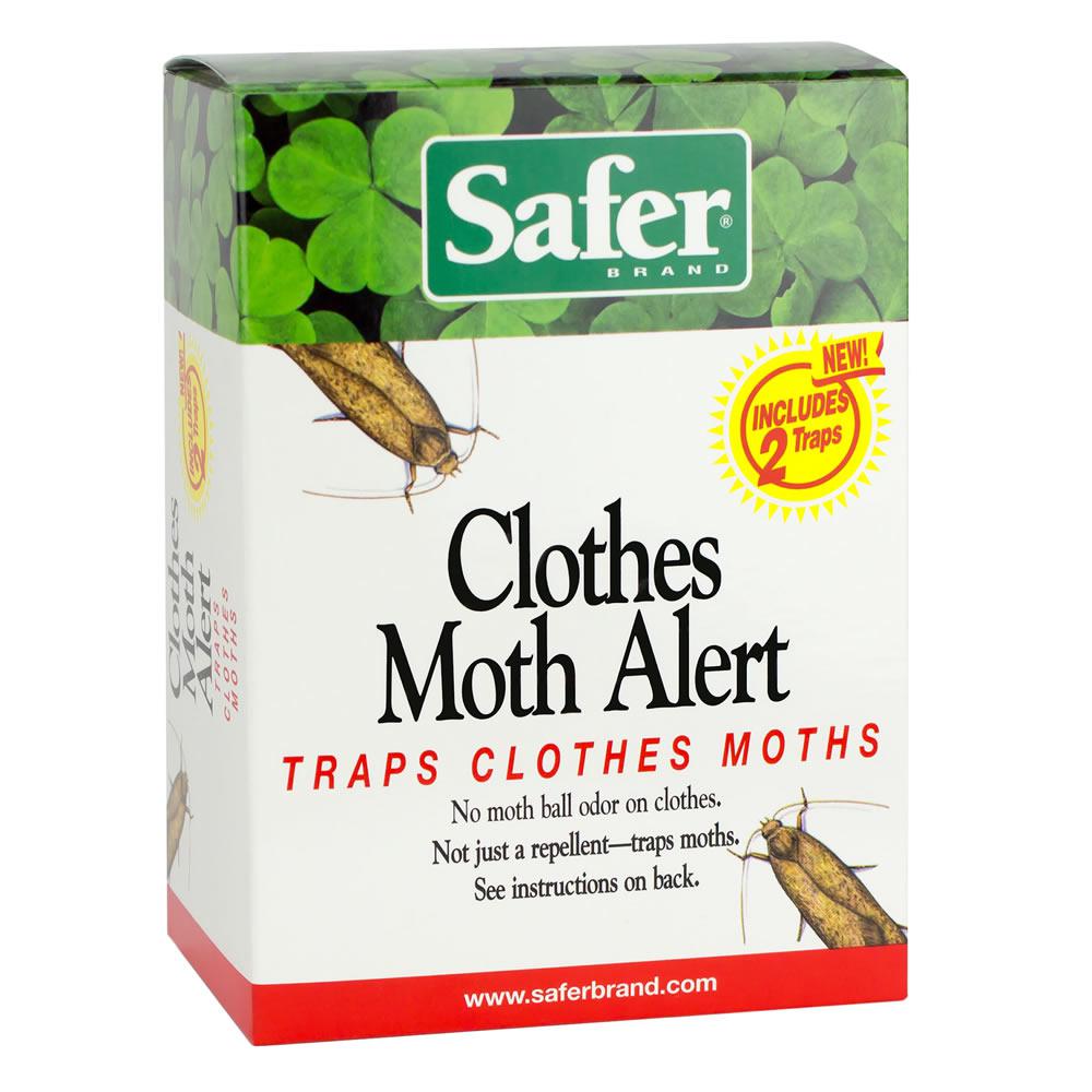 Terro Pantry Moth TrapT2900 The Home Depot