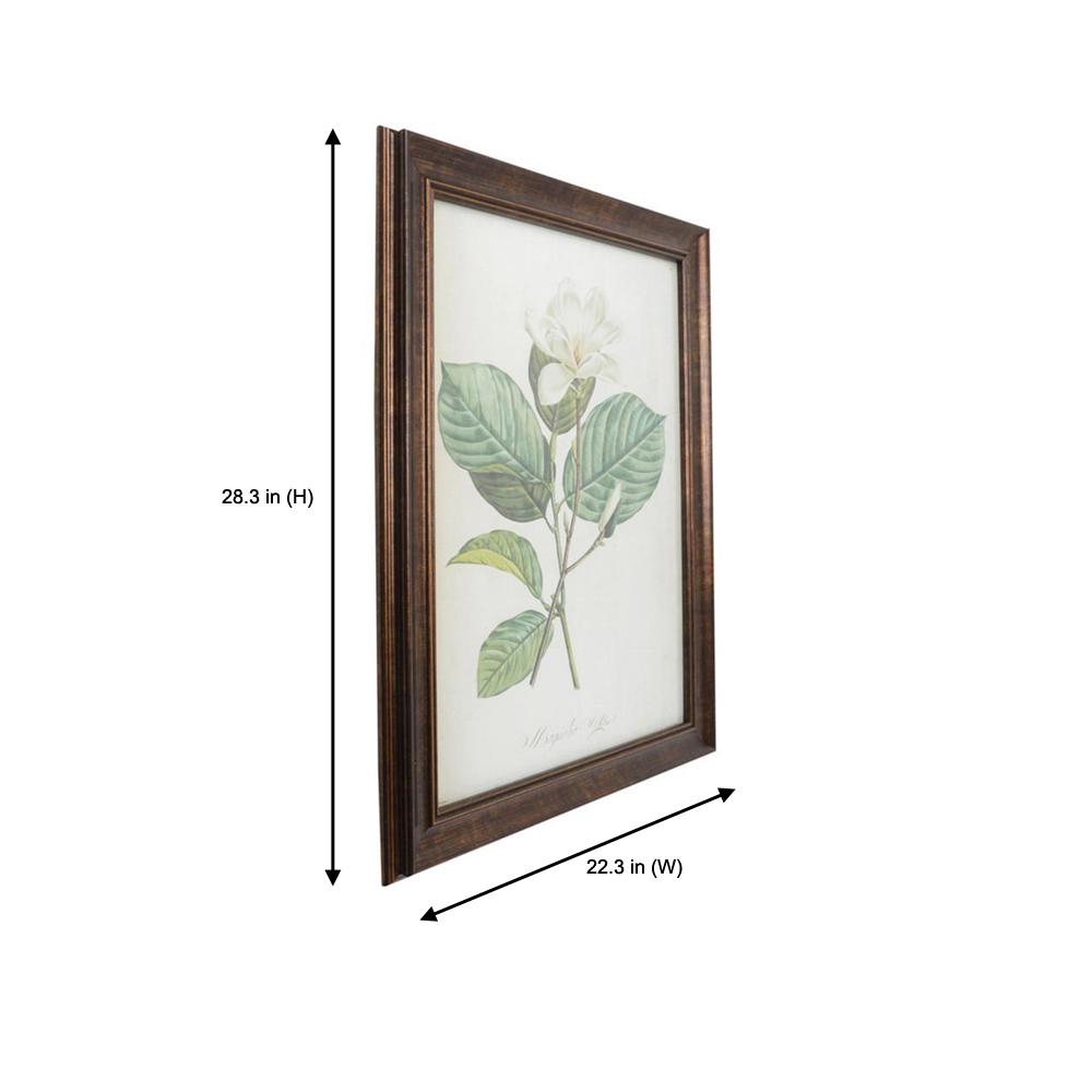 Home Decorators Collection Home Decorators Collection Antiqued