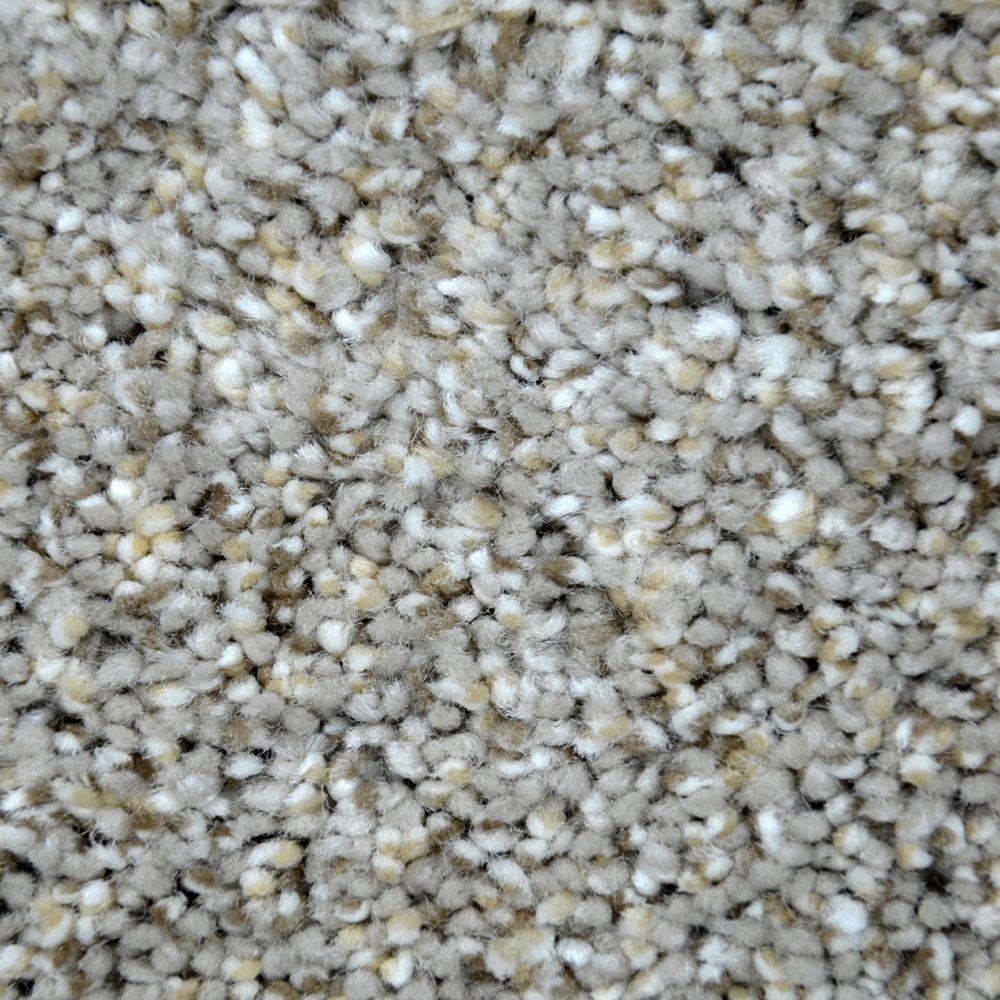 LifeProof Carpet Sample Graceful Style II Color Hartford Texture 8
