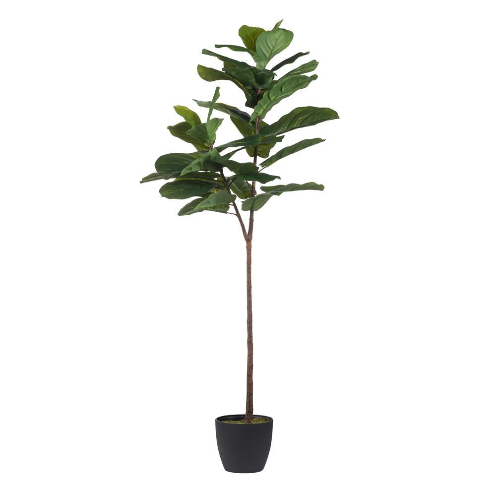 A & B Home Fiddle Leaf Green Fig Tree29876 The Home Depot