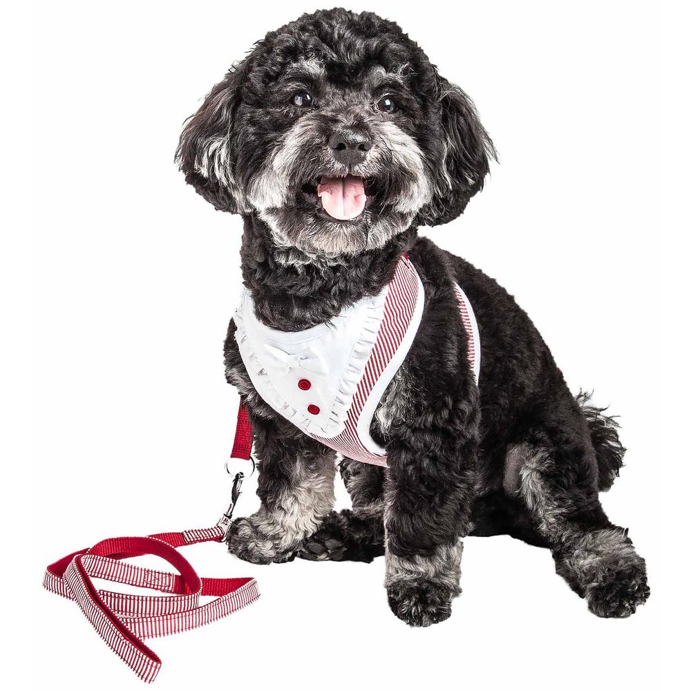 puppy harness leash