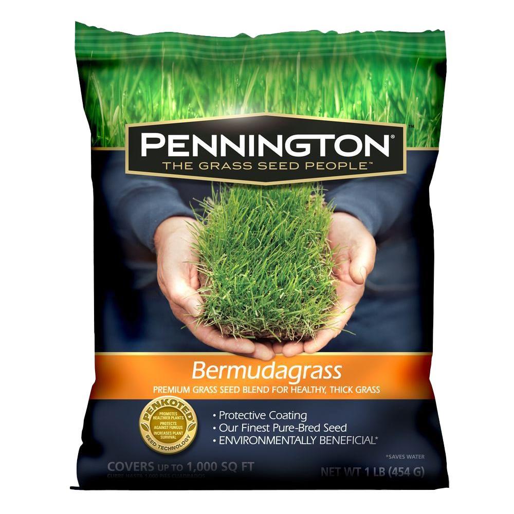 Pennington 1 Lb. Bermudagrass Seed Blend-100086856 - The Home Depot