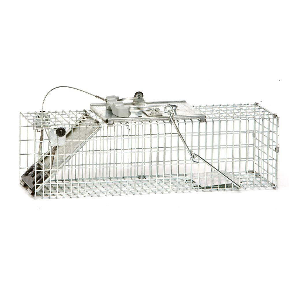 Havahart Small Easy Set Live Animal Cage Trap1082 The Home Depot