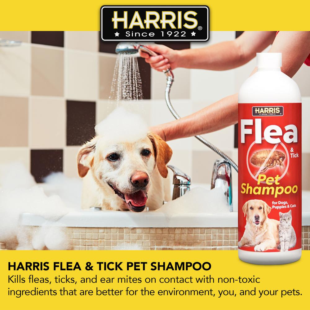 flea and mite shampoo for dogs