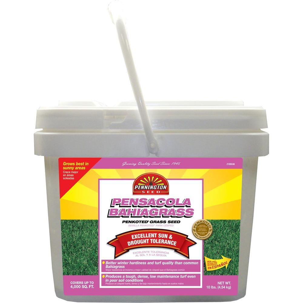 Bahia Grass Seed Lawn Care The Home Depot