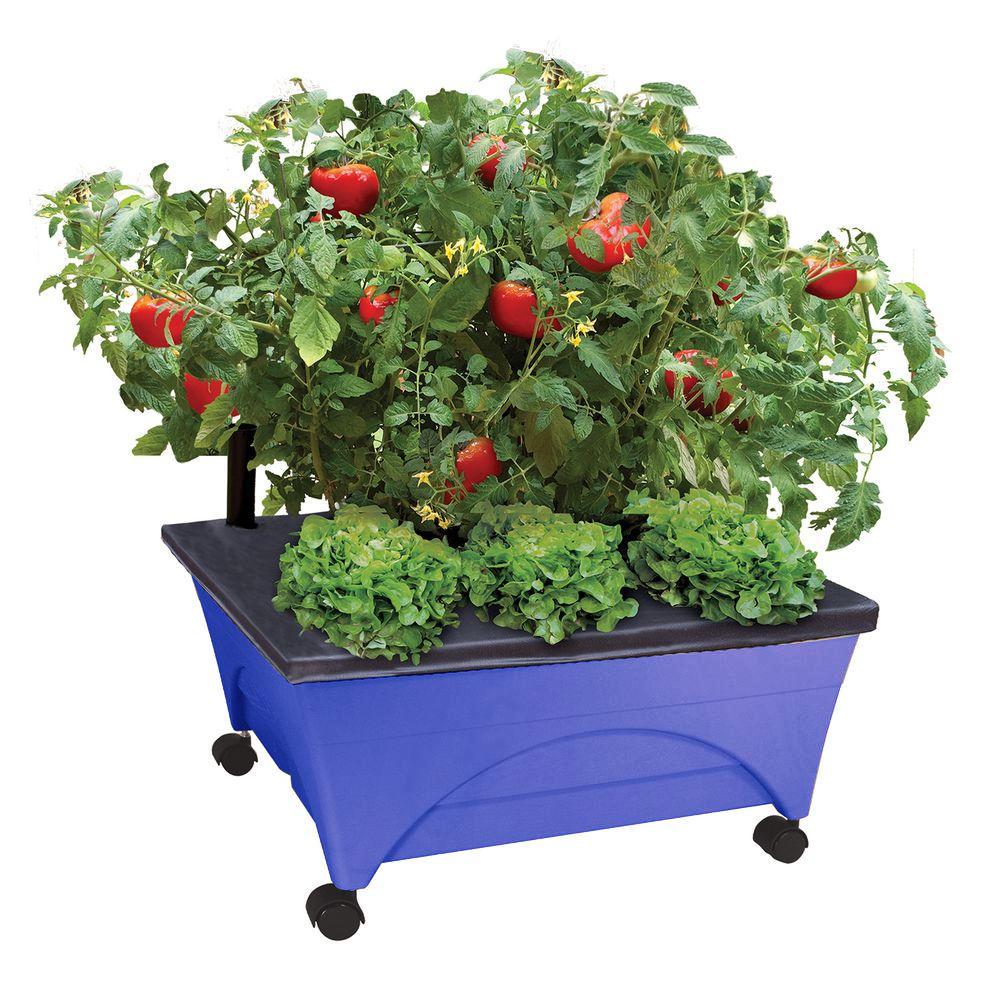 CITY PICKERS 24.5 in. x 20.5 in. Patio Raised Garden Bed Grow Box Kit